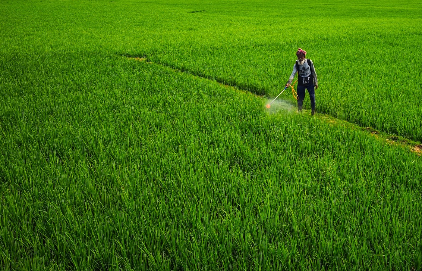 Category A and E Pesticide