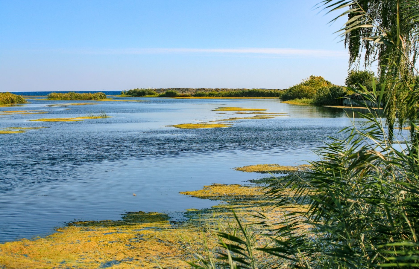 Aquatic Pest Management (Category F) Certification