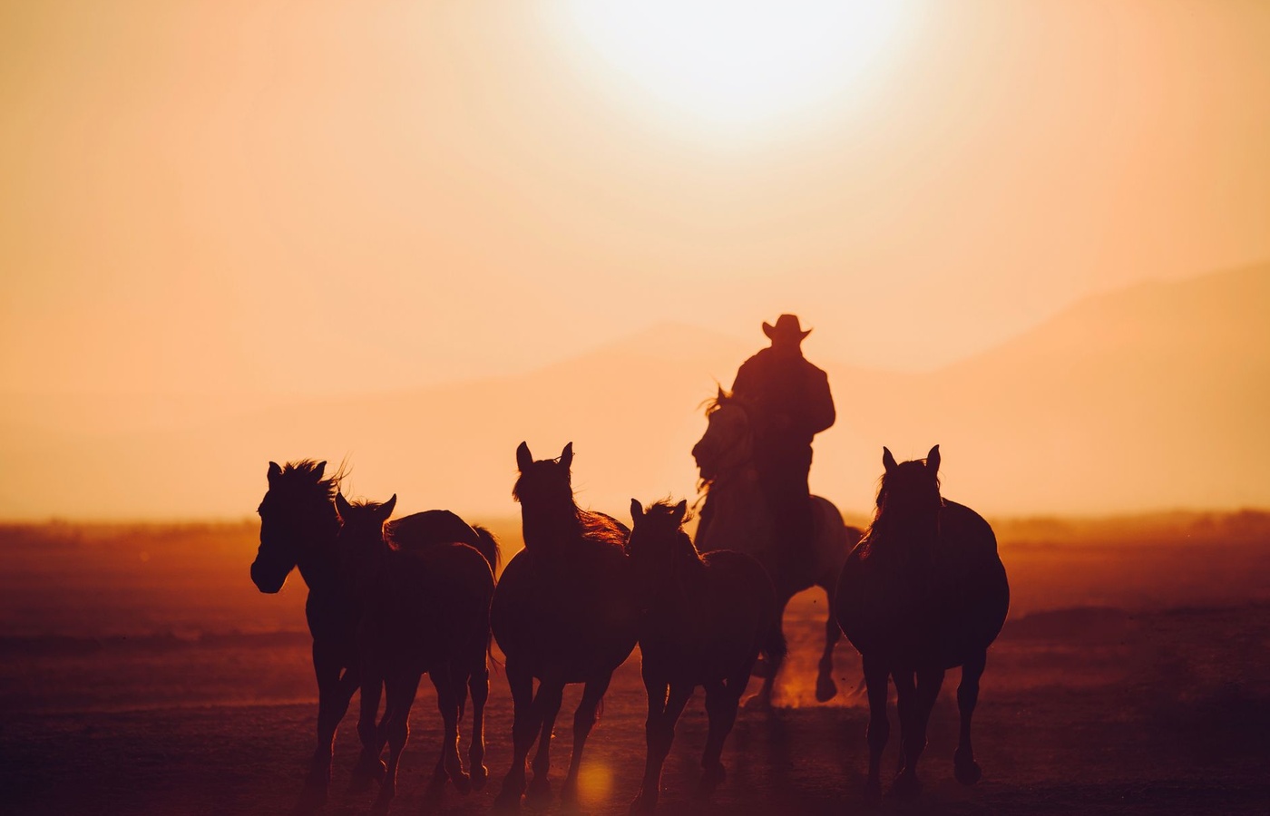 Cavalry Scout General Knowledge