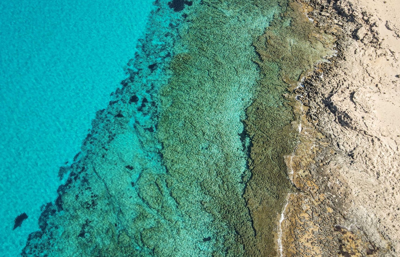 Cayman History & Culture