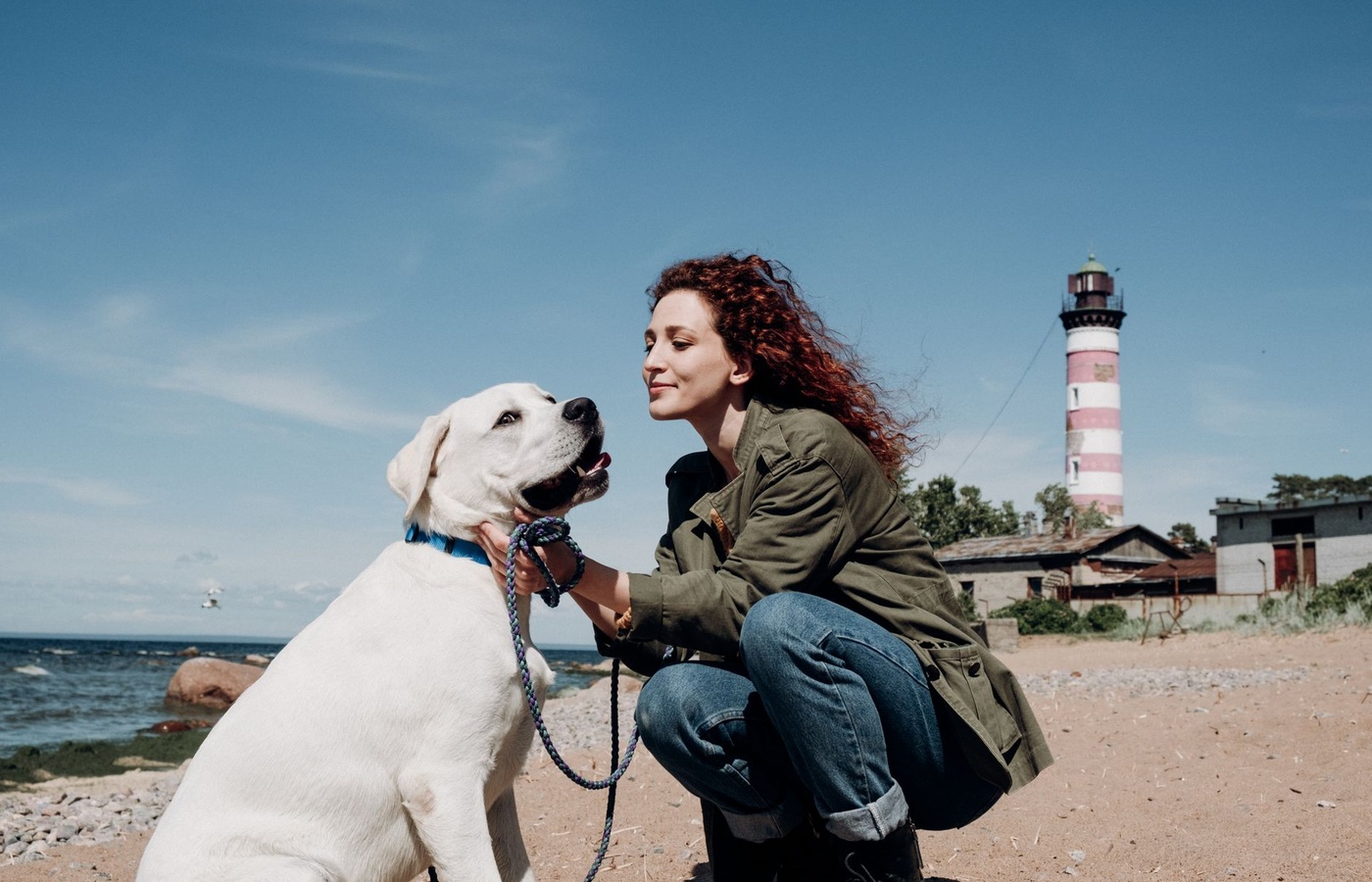 Certified Behavior Consultant Canine – Knowledge Assessed (CBCC-KA)