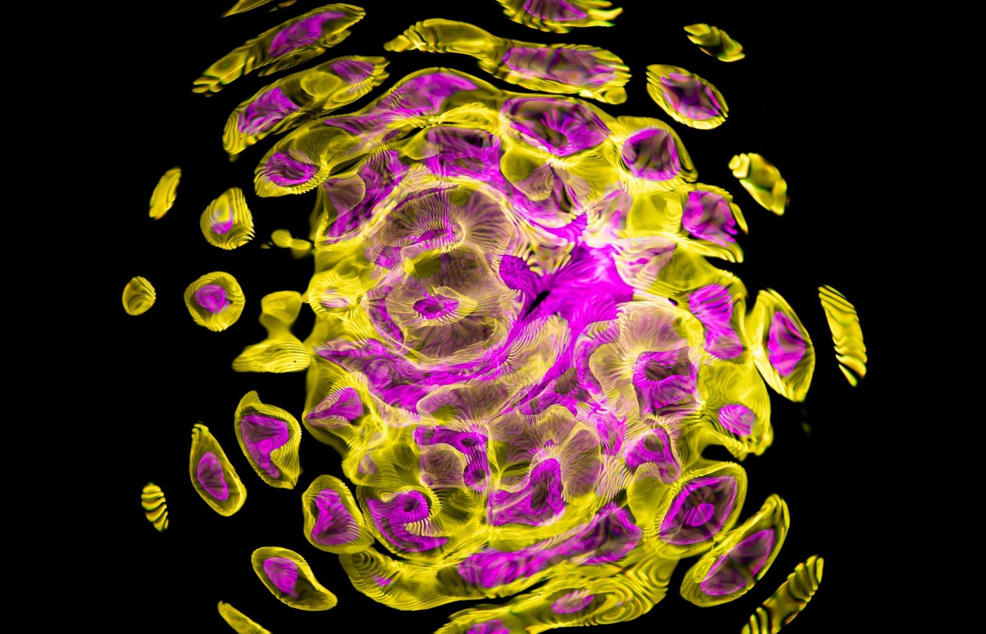 Cell Division and Cancer