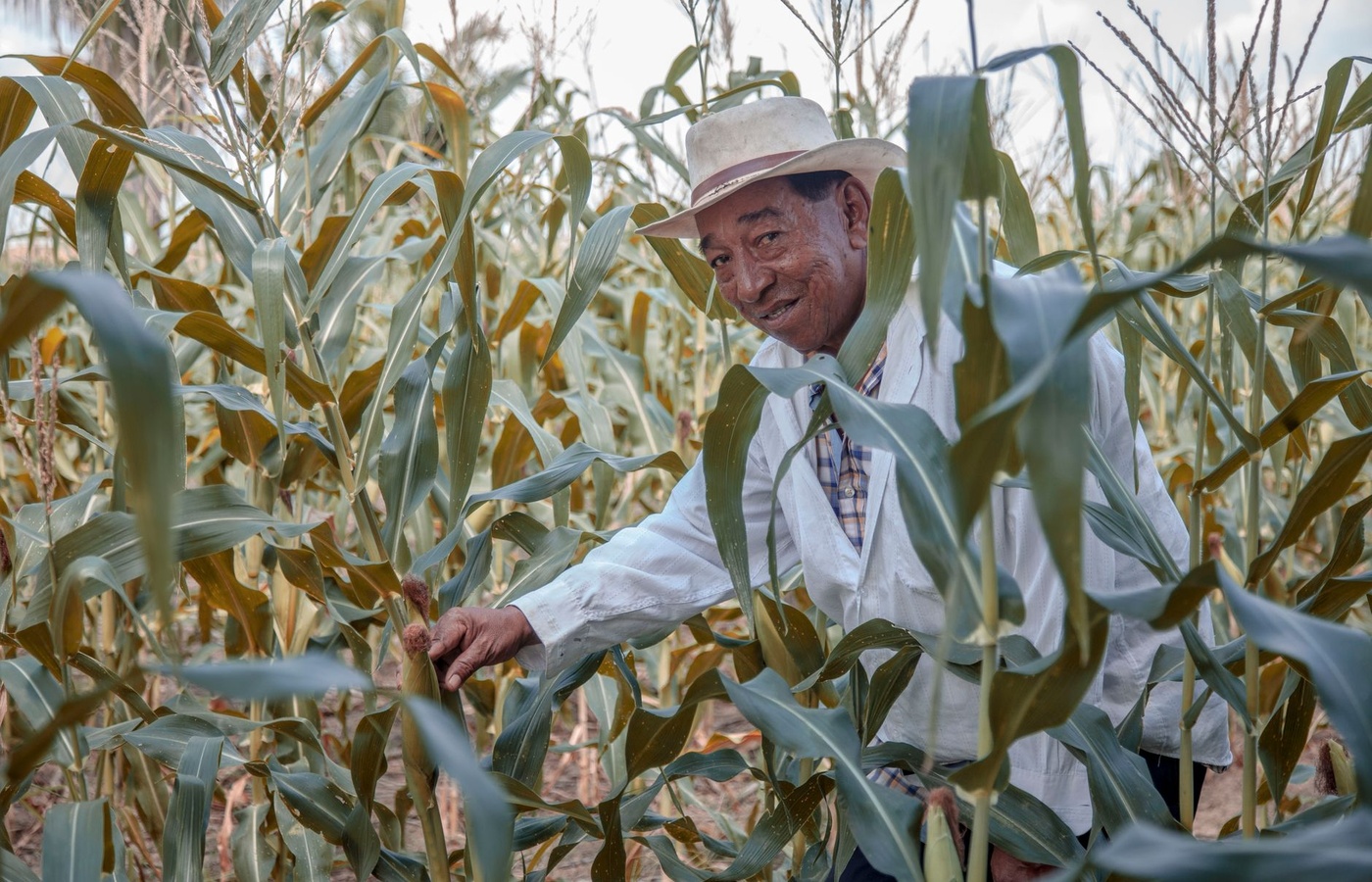 Certified Crop Advisor