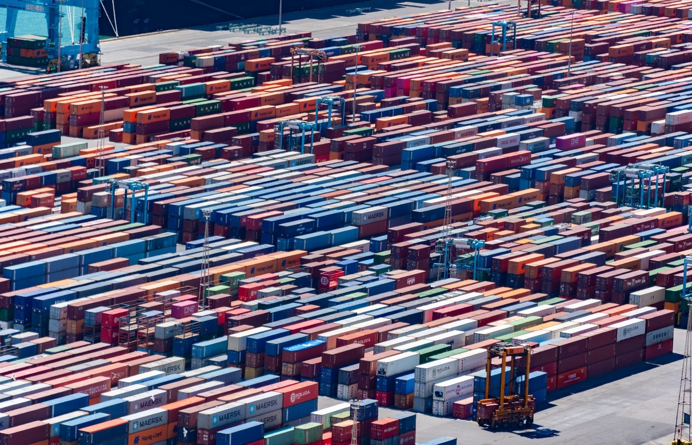 Certified Export Specialist (CES)