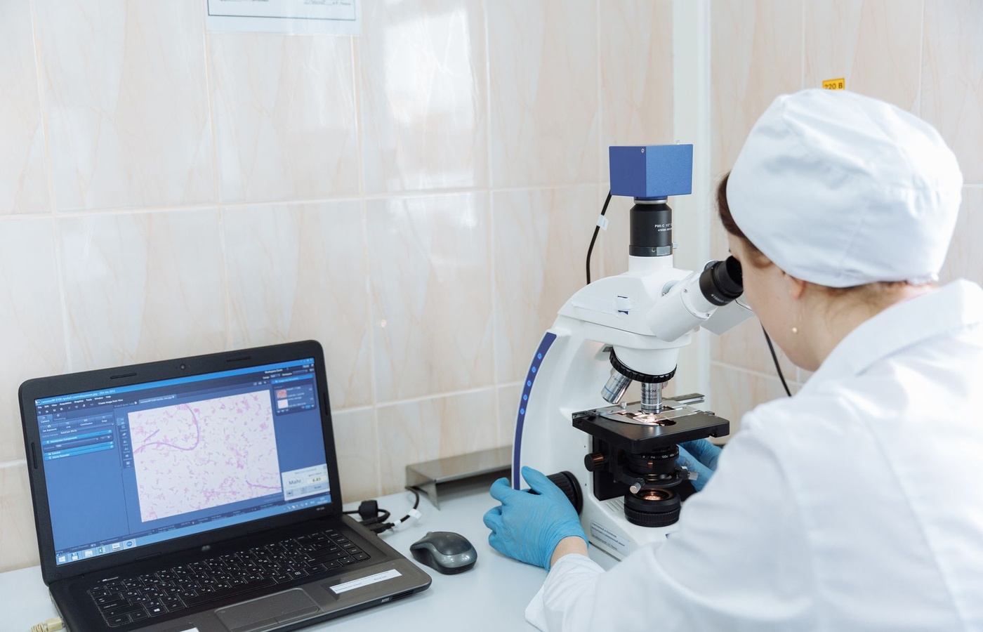 Certified HACCP Auditor