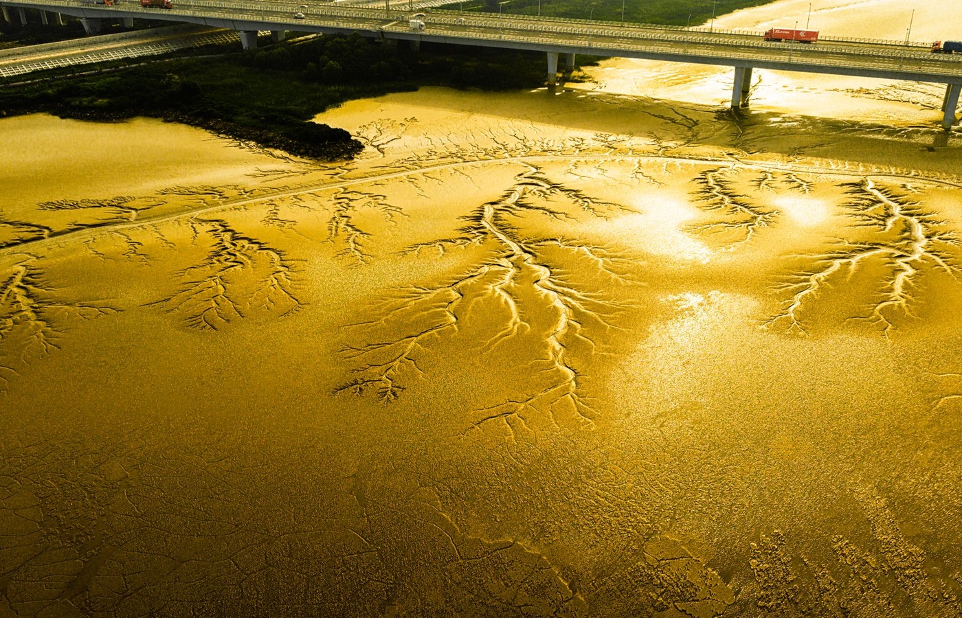 Certified Floodplain Manager (CFM)