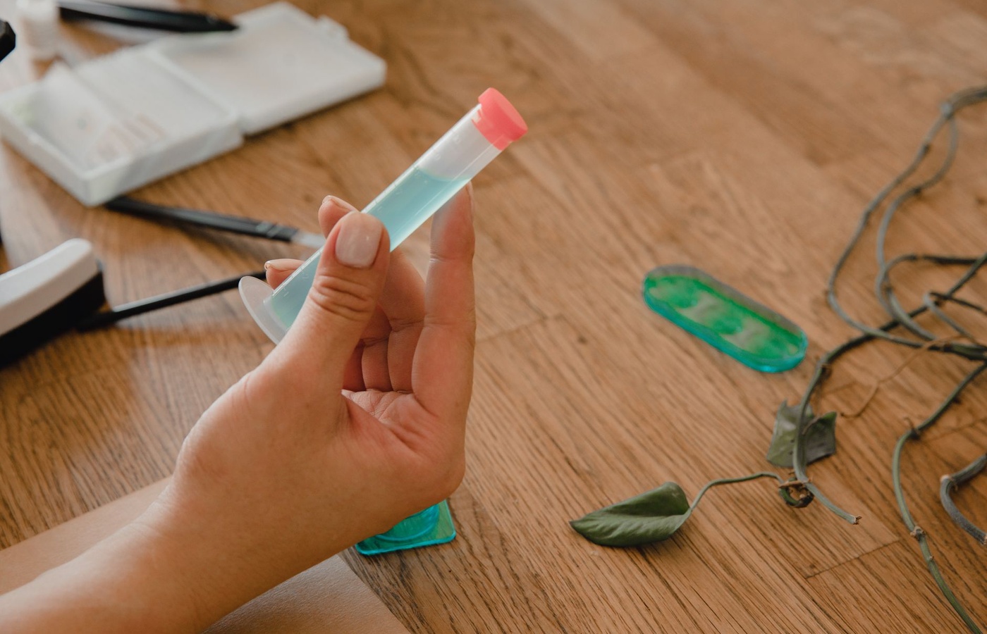 Chemistry and Sustainability Concepts for STEM Students