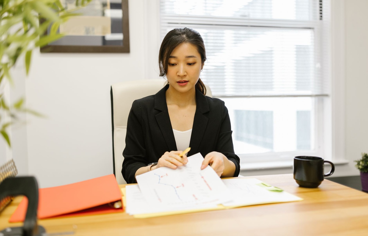 CHRA Performance Management and Appraisal