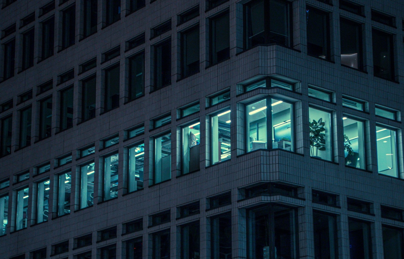 CISSP Domain 4 – Risk and Control Monitoring and Reporting