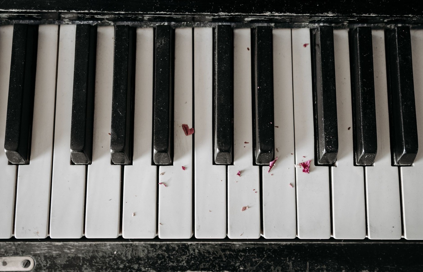 Certificate of Merit (CM) Piano Theory Level 9