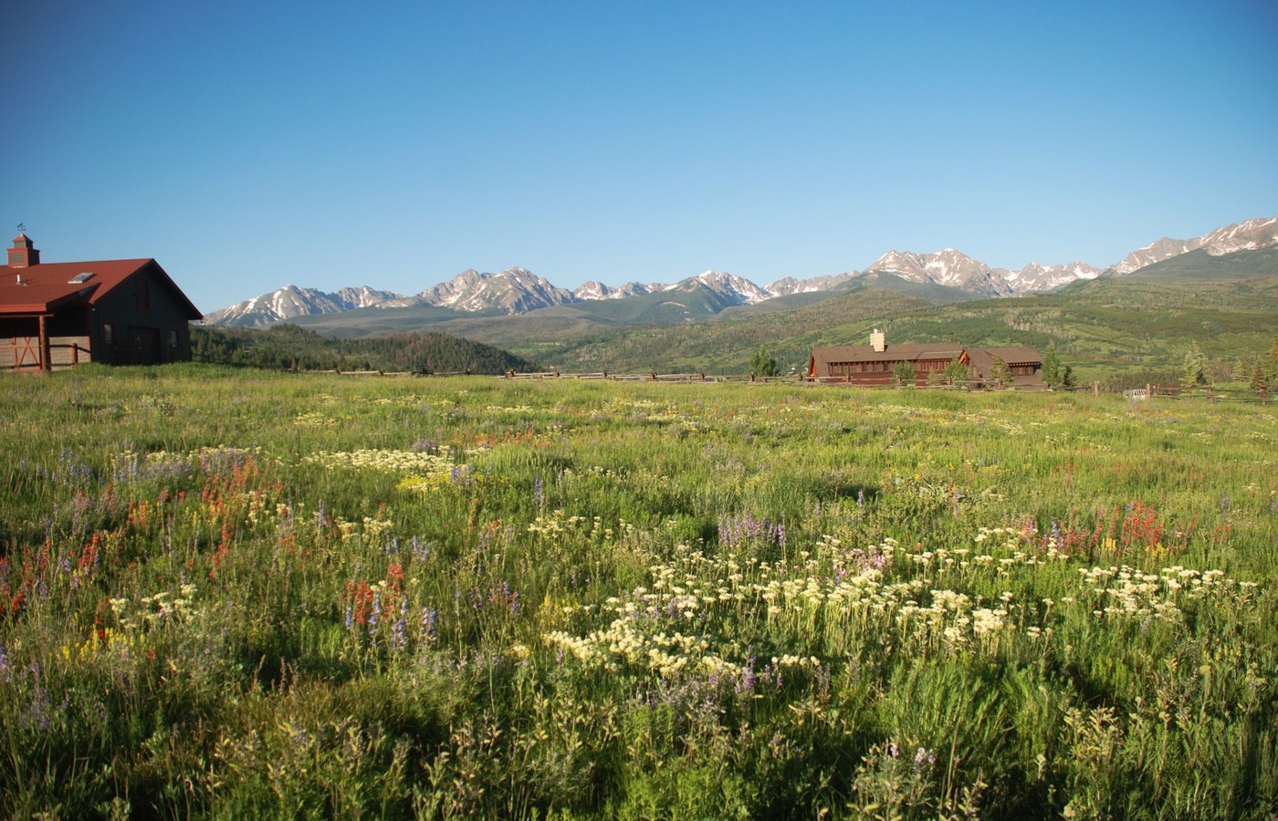 Colorado Category 304 Residential/Commercial Pest Control Qualified Supervisor (QS)