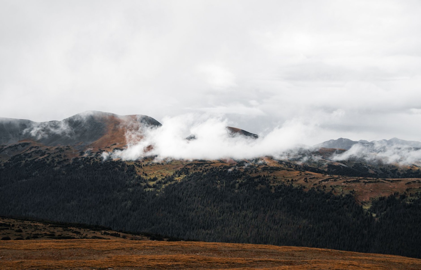 Colorado Insurance Producer Licensing