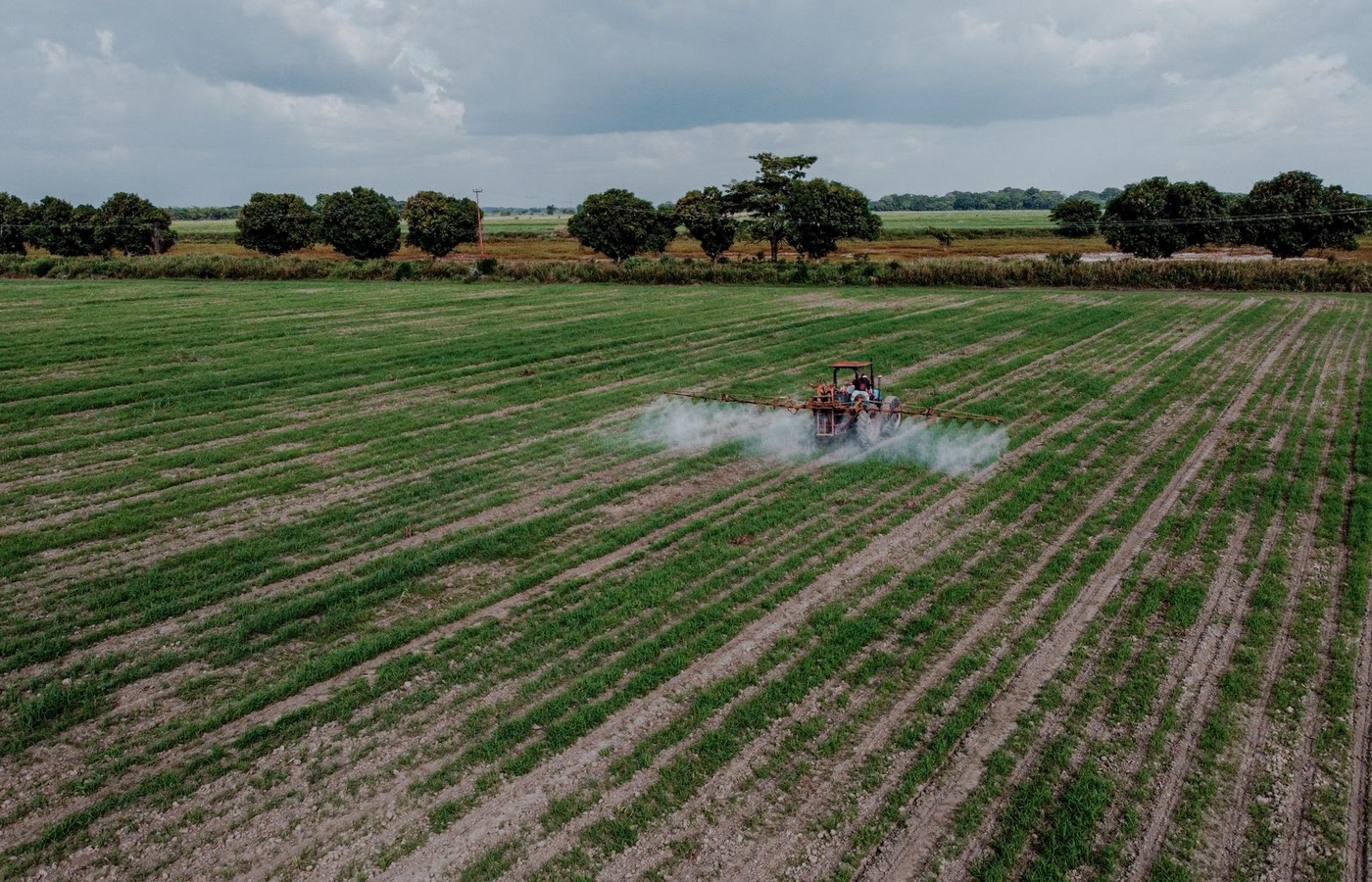 Colorado Qualified Supervisor (QS) and Certified Operator (CO) Pesticide