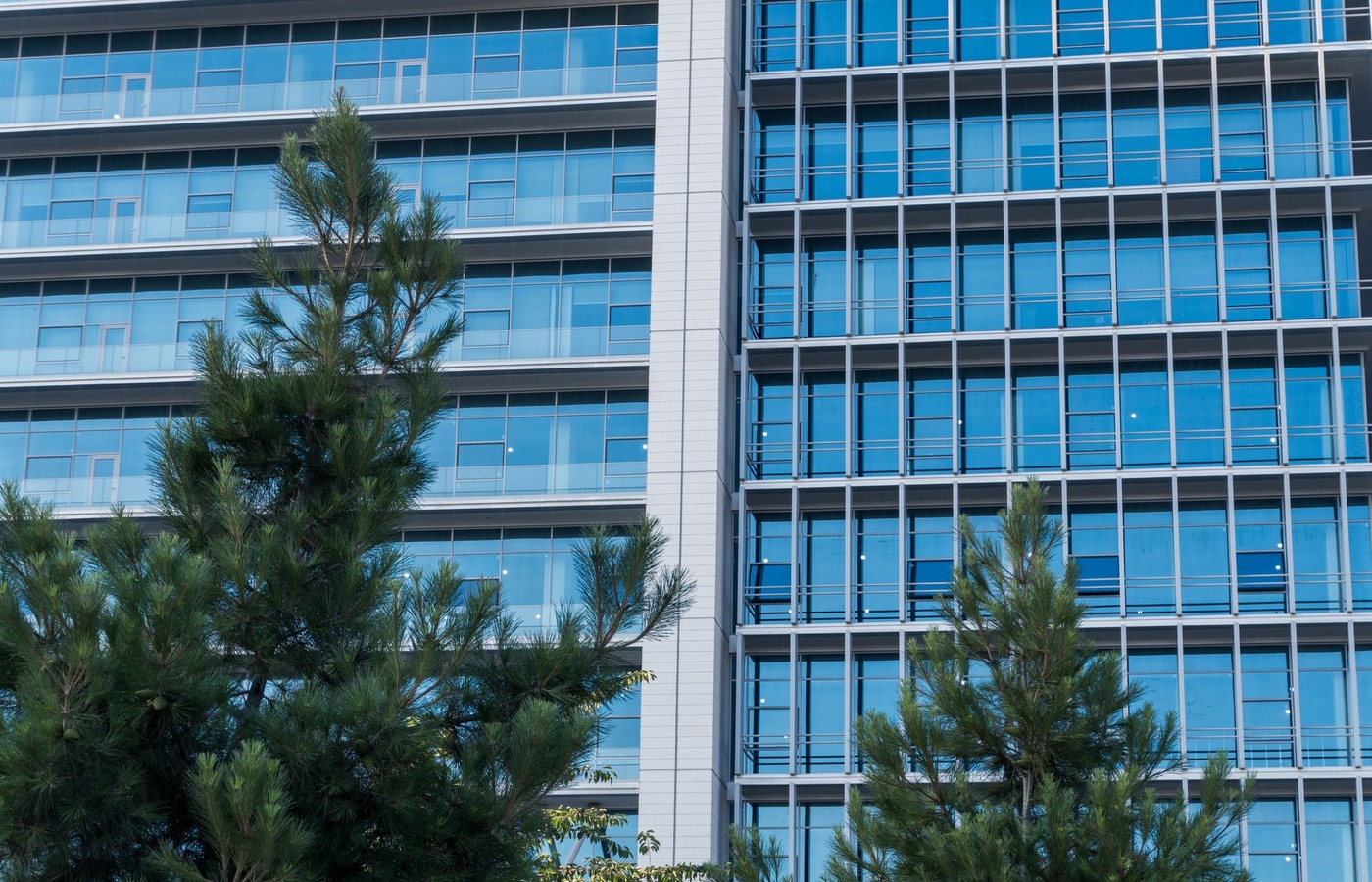 Commercial Property Management