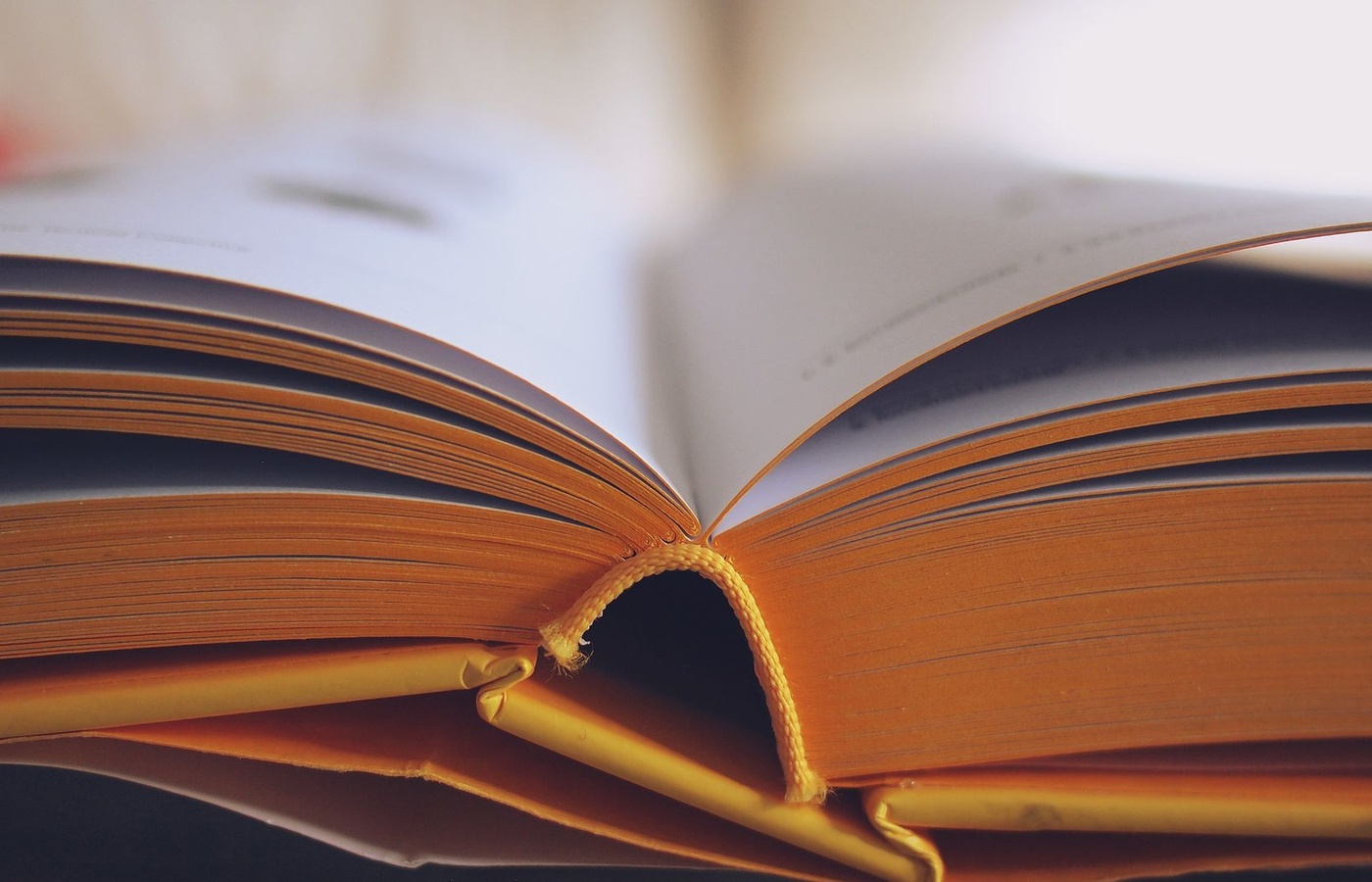 Comprehensive Literary and Nonfiction Skills for Students