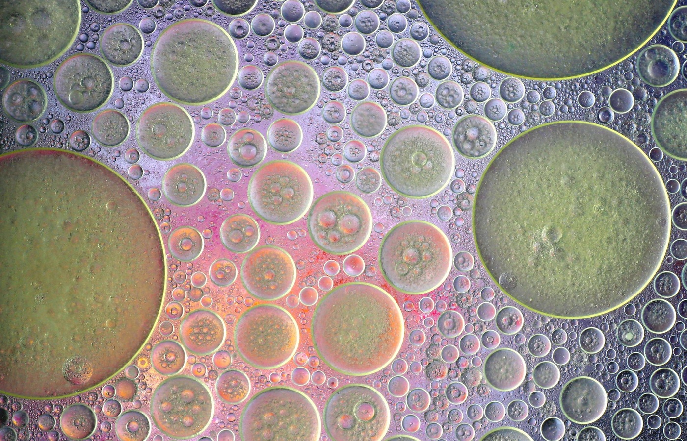 Convection