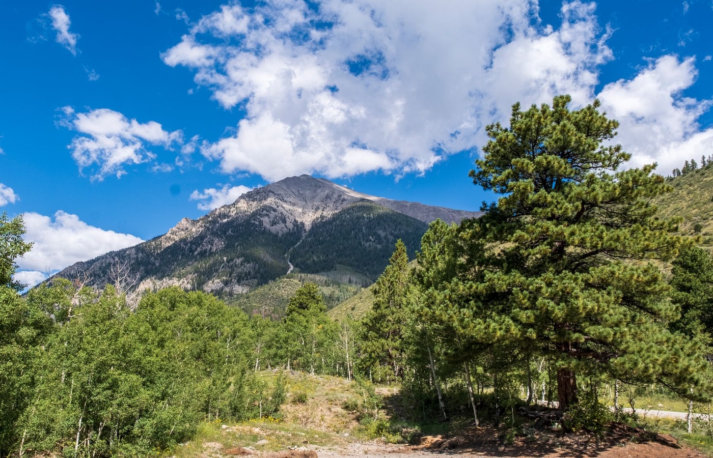 Colorado Parks and Wildlife: District Wildlife Officer and Park Ranger