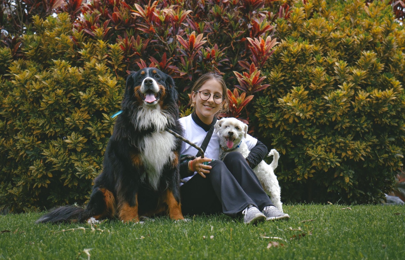 Certified Professional Dog Trainer – Knowledge Assessed (CPDT-KA)