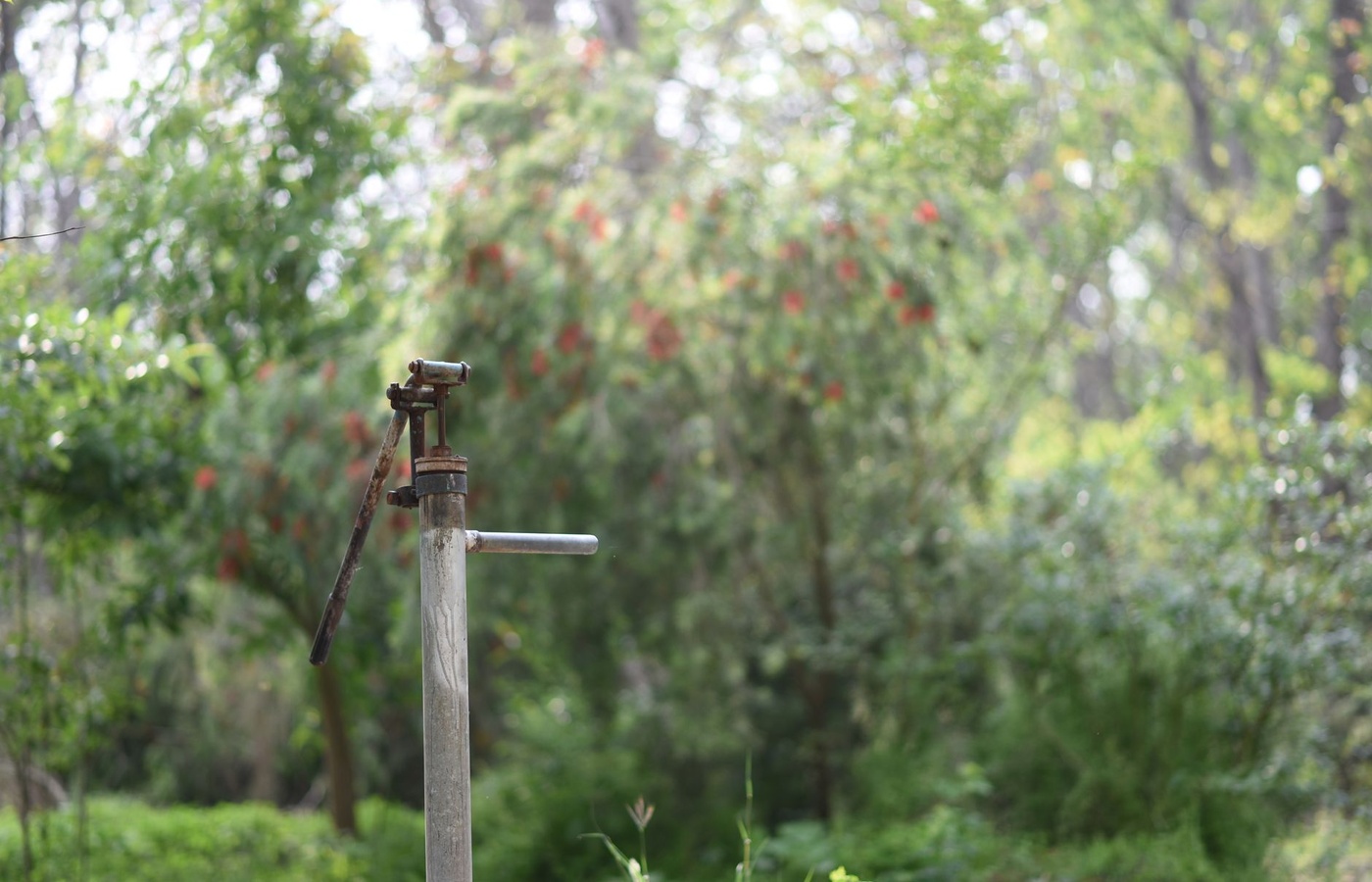 CR-21 Landscapes and Irrigation