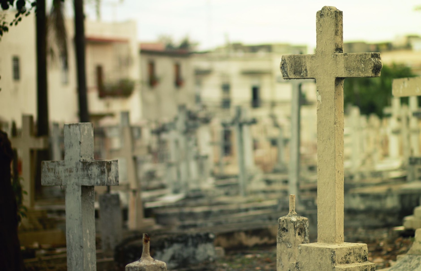 Crematory & Cemetery Comprehensive