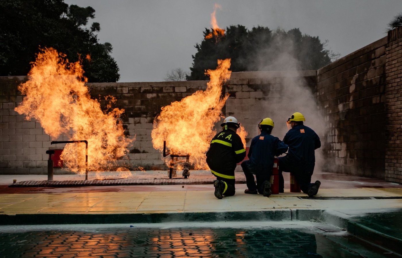 Dallas Fire-Rescue Organization