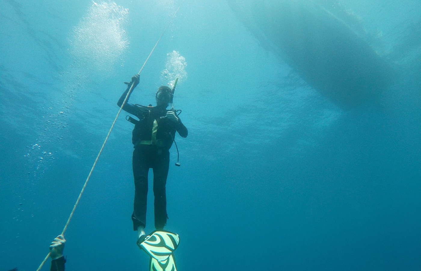 Dive Master
