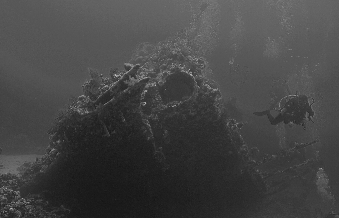 Diving First Aid for Professional Divers