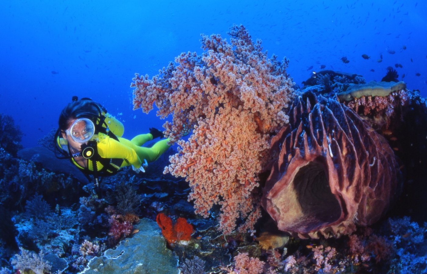 Diver Life Support System (DLSS) Maintenance