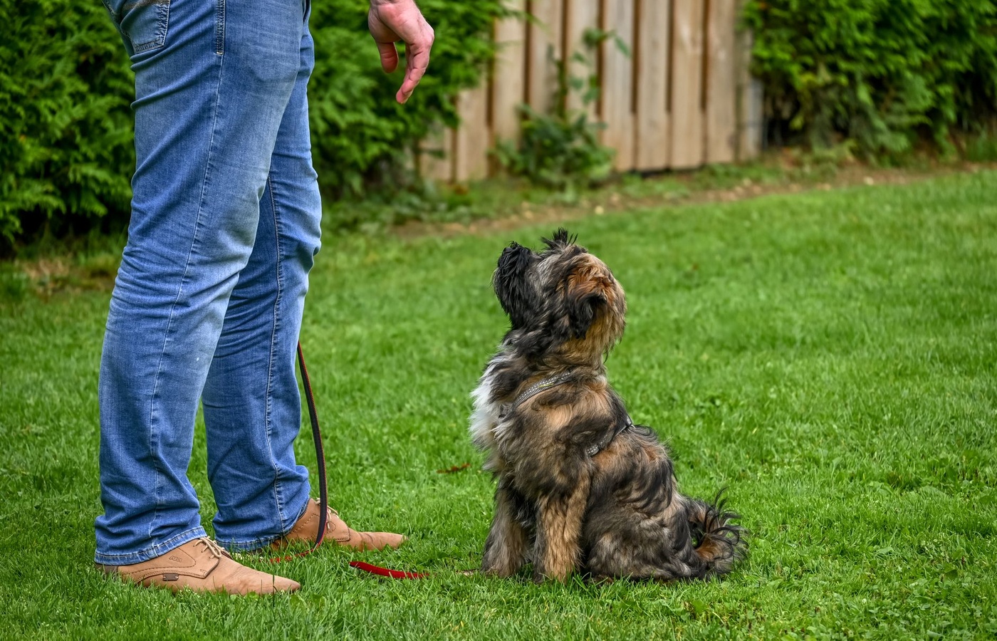 Dogging Course