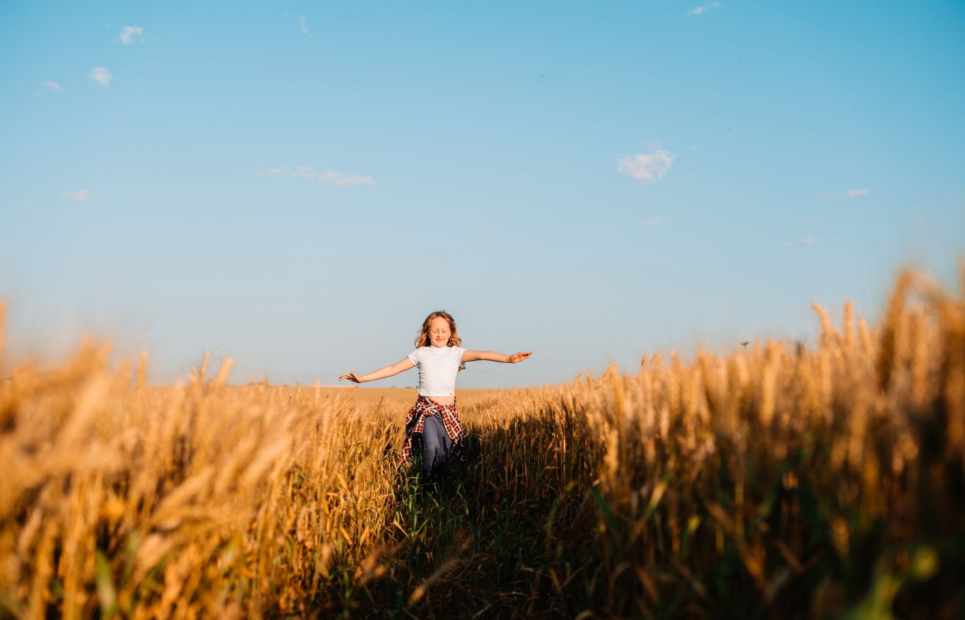 DSST Lifespan Developmental Psychology