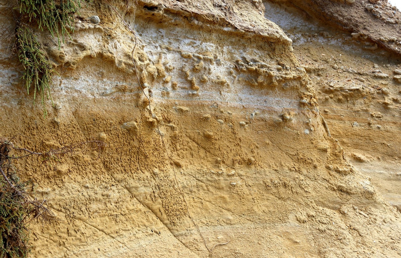 Earth Science Standards of Learning (SOL)