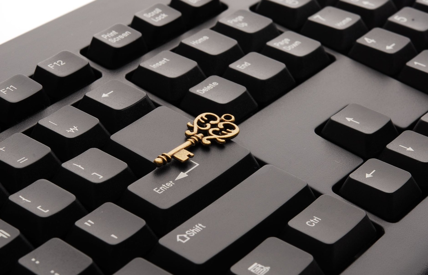 EC-Council Certified Secure Computer User (CSCU)