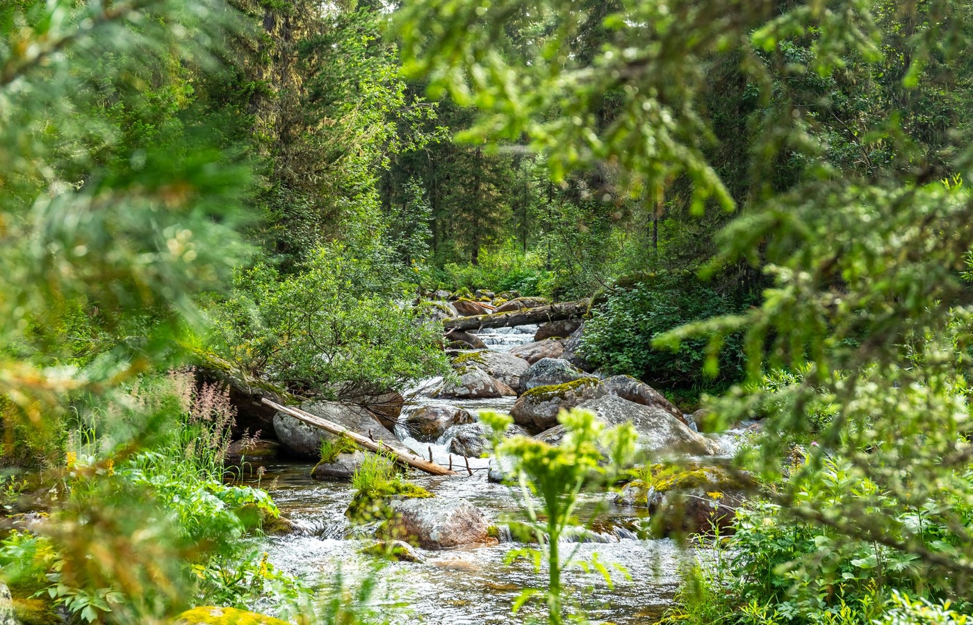 Ecology and Ecosystems QBA Exam 1