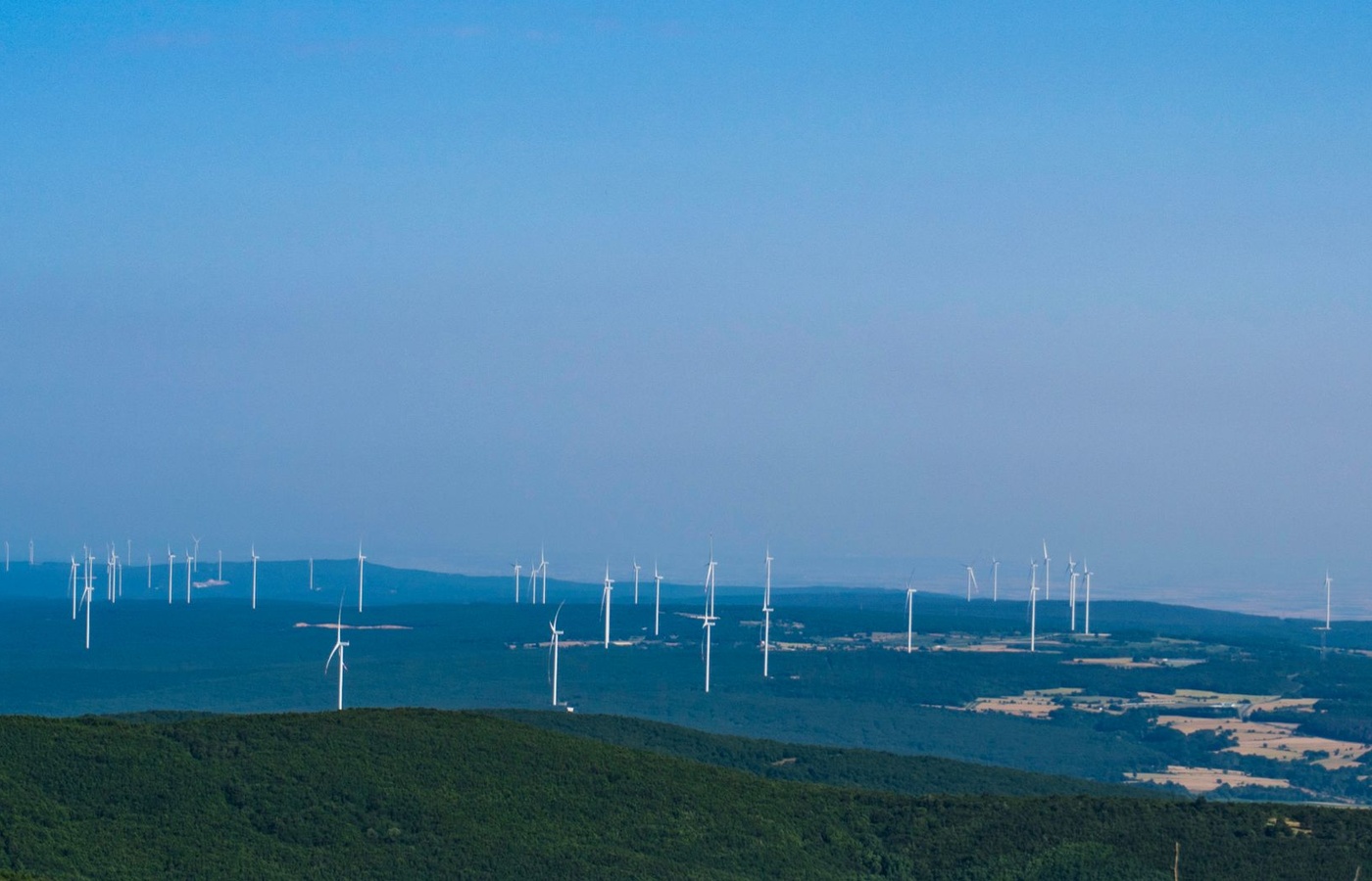 Economics and Environmental Conservation