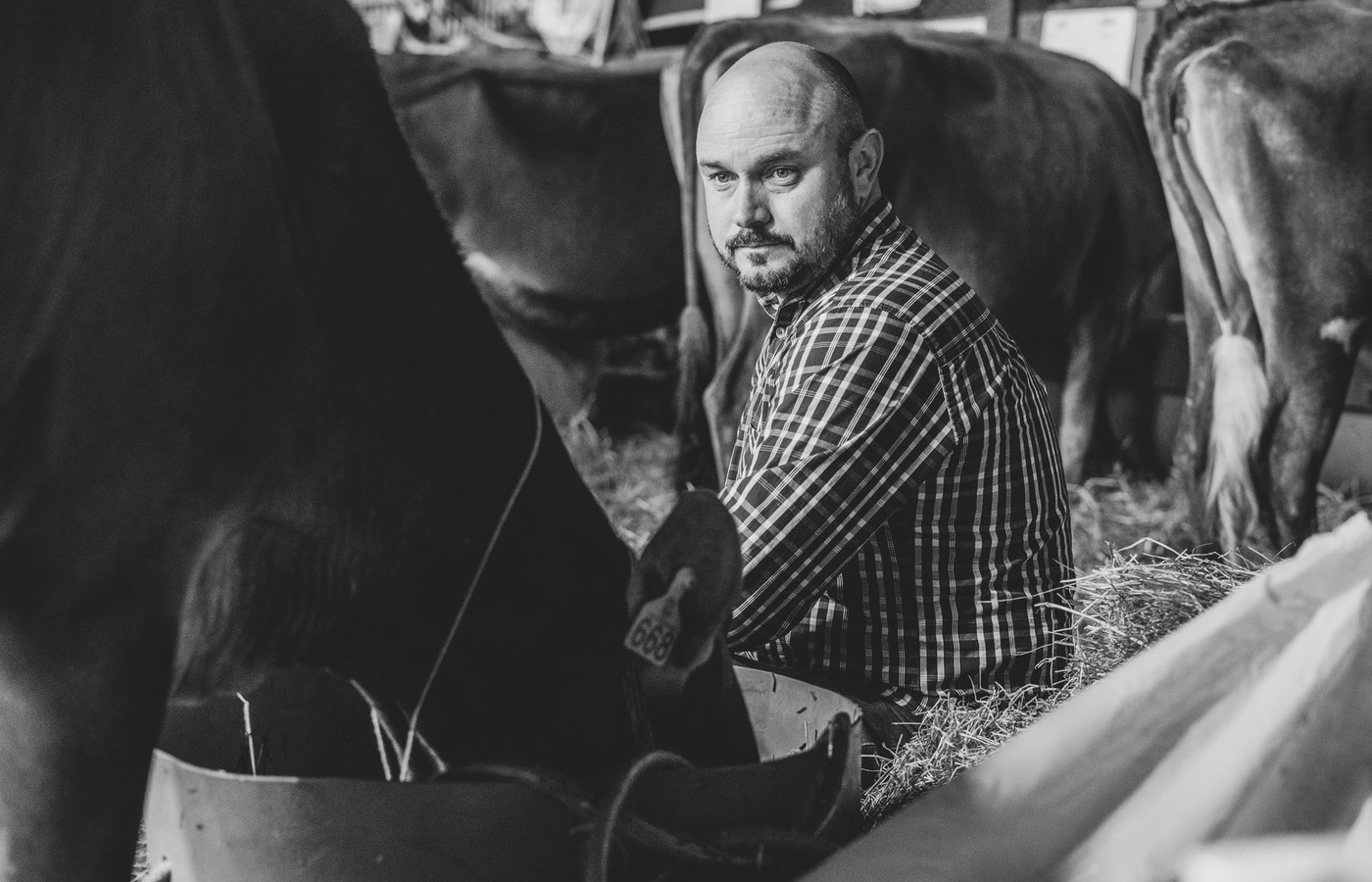 ELANCO Advanced Animal Science
