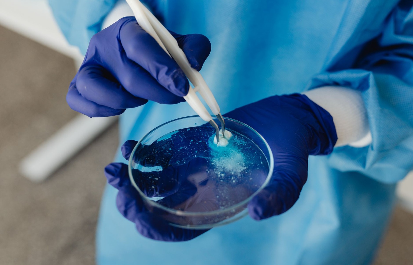 Enterobacteriaceae