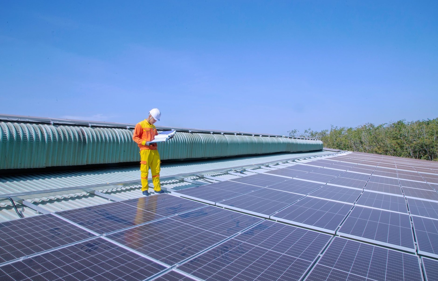 Registered Environmental Health Specialist (REHS)
