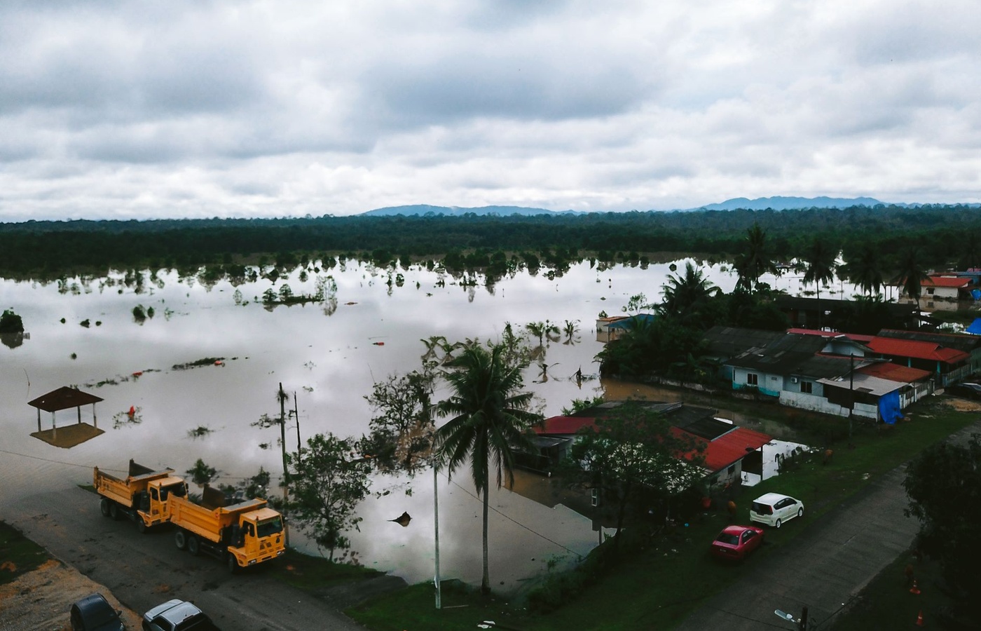 Environment in Humanitarian Action