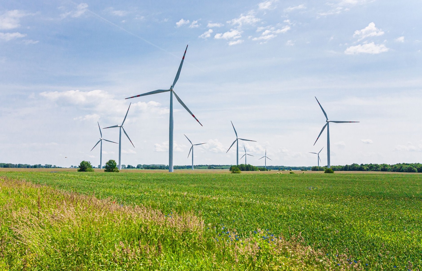 Certified Environmental System Manager (CESM)