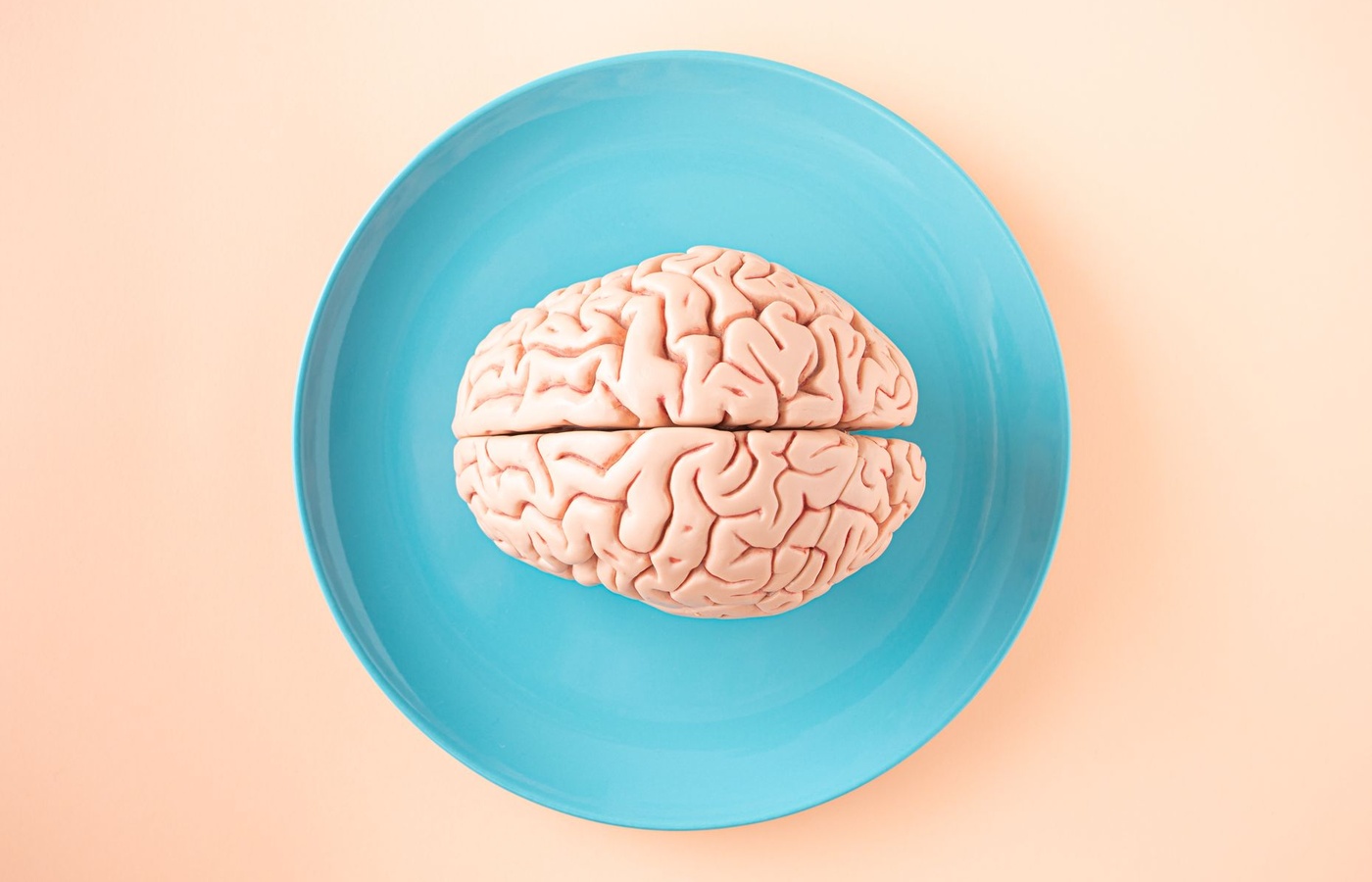 EPPP Biological Bases of Behavior
