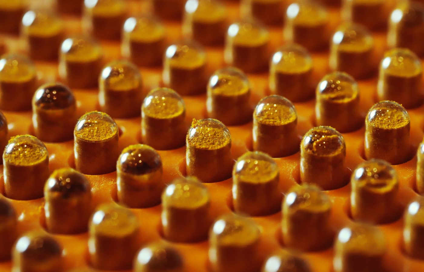 EPPP Psychopharmacology