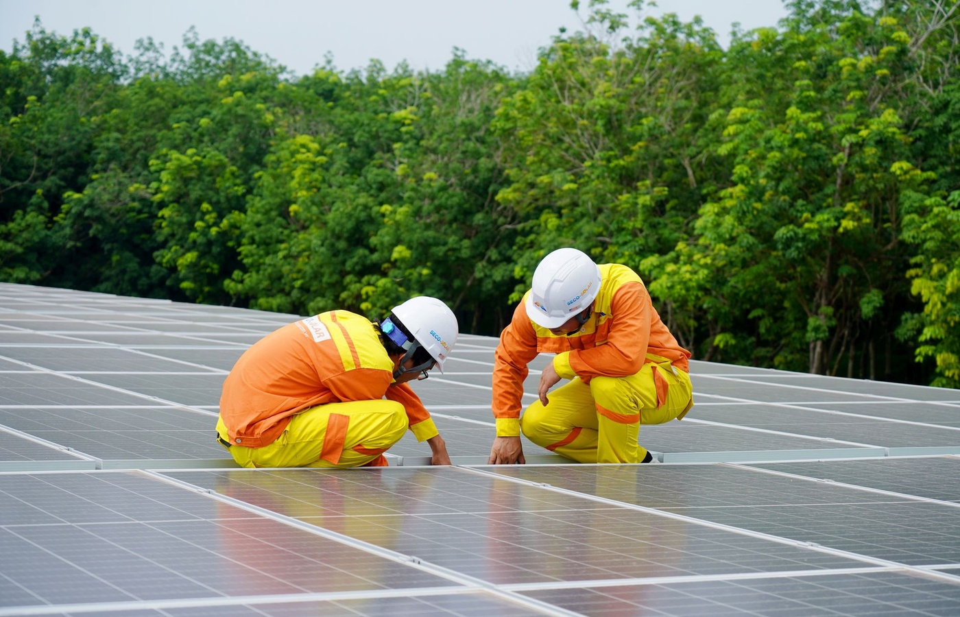 ESCP Sustainability and Environmental, Social & Governance (ESG)