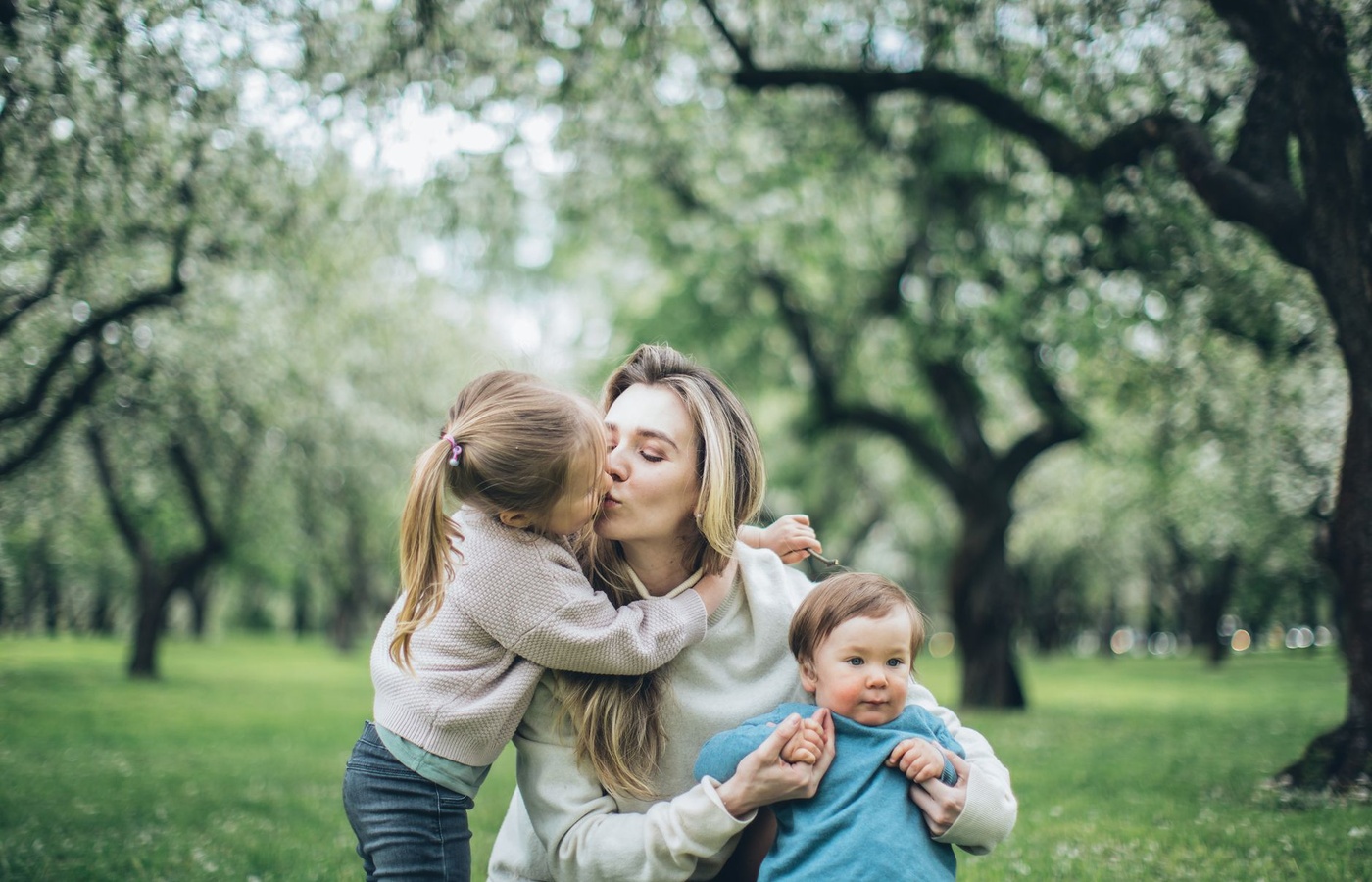 Families – Blair Midterm Practice Test course image