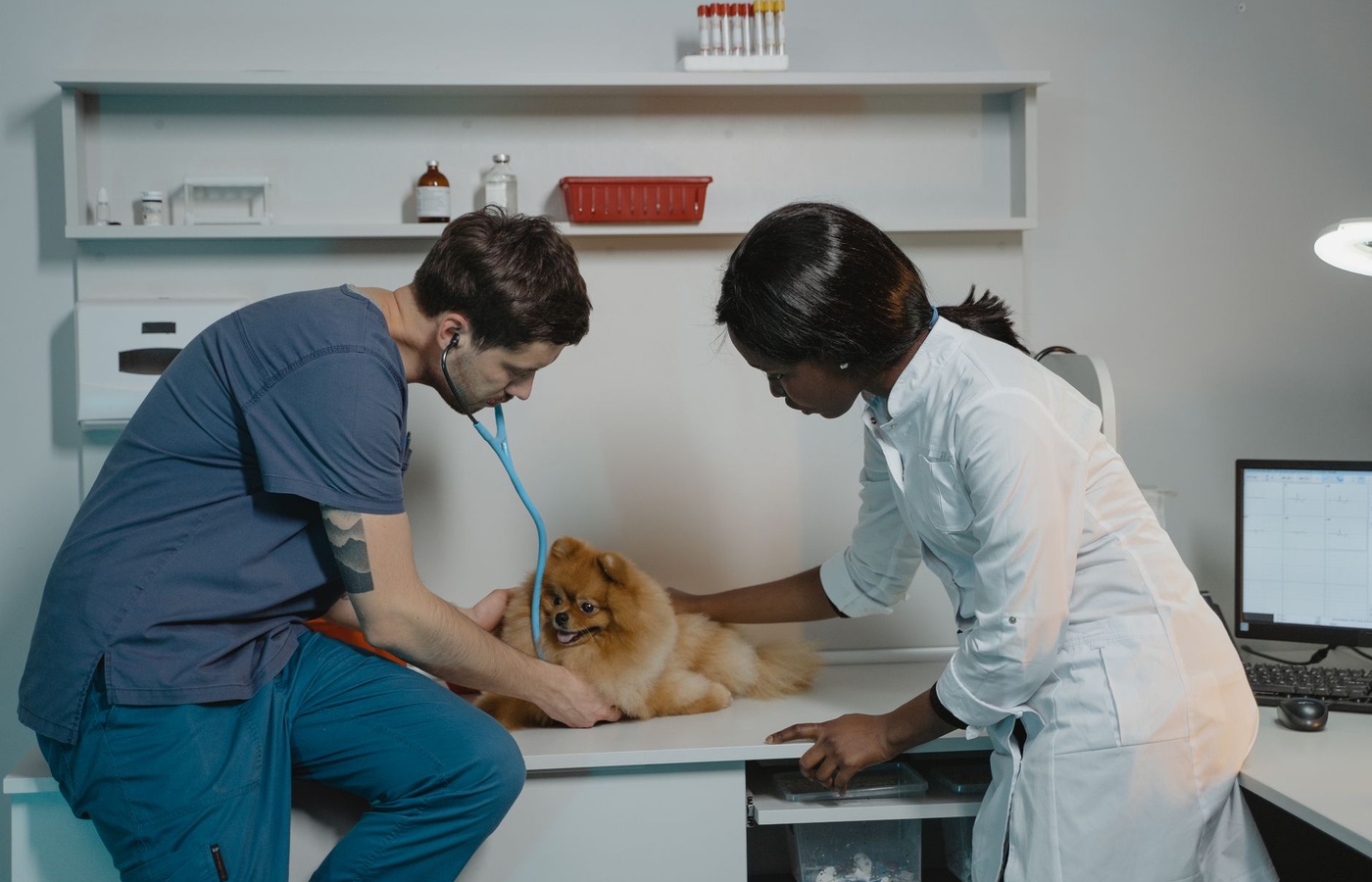 Fear Free Veterinary Certification