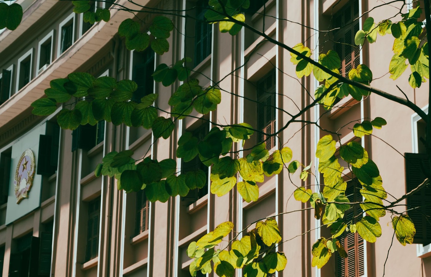Federal Acquisition Certification in Contracting (FAC-C)