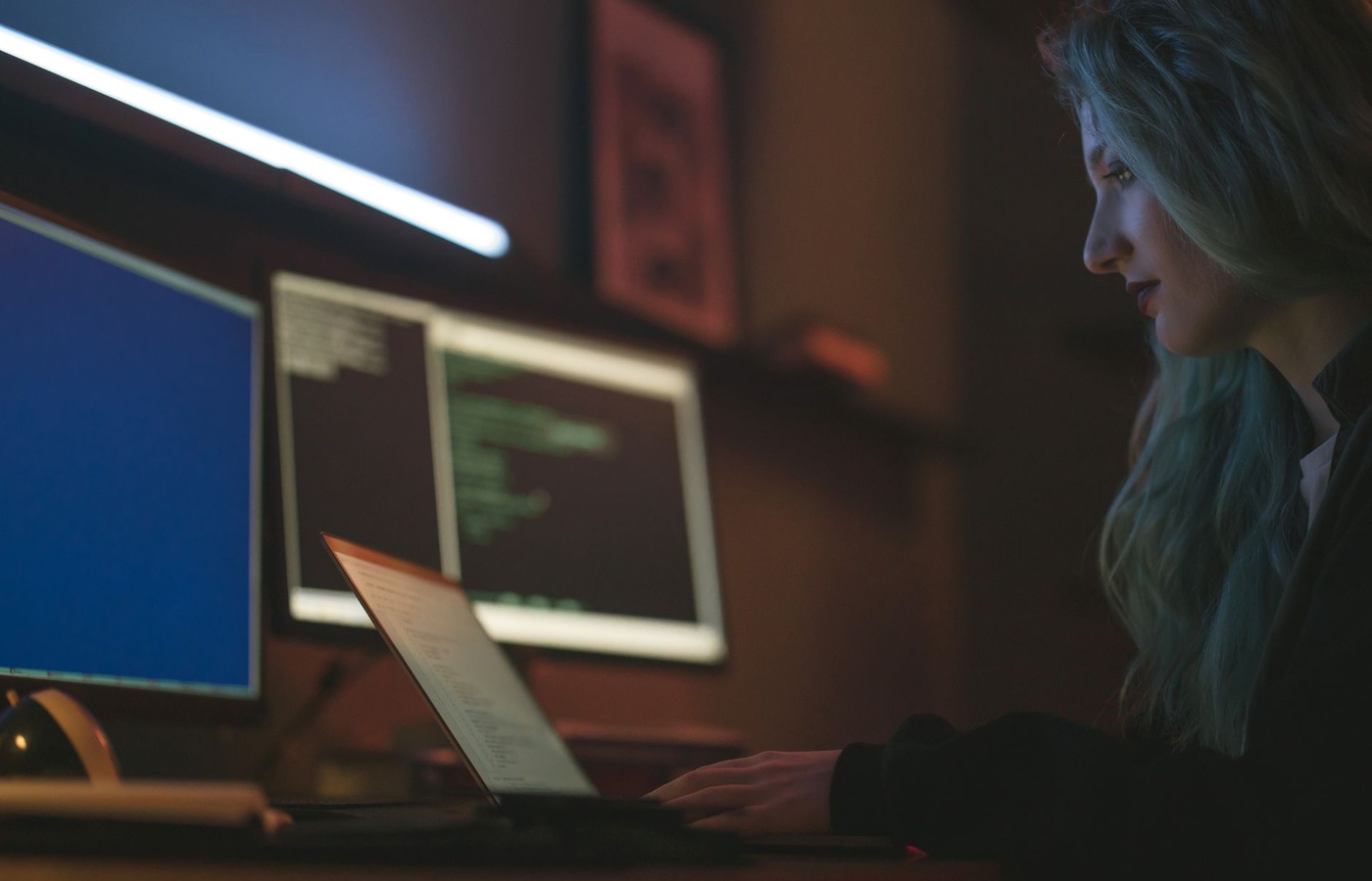 FedVTE Cyber Risk Management for Managers