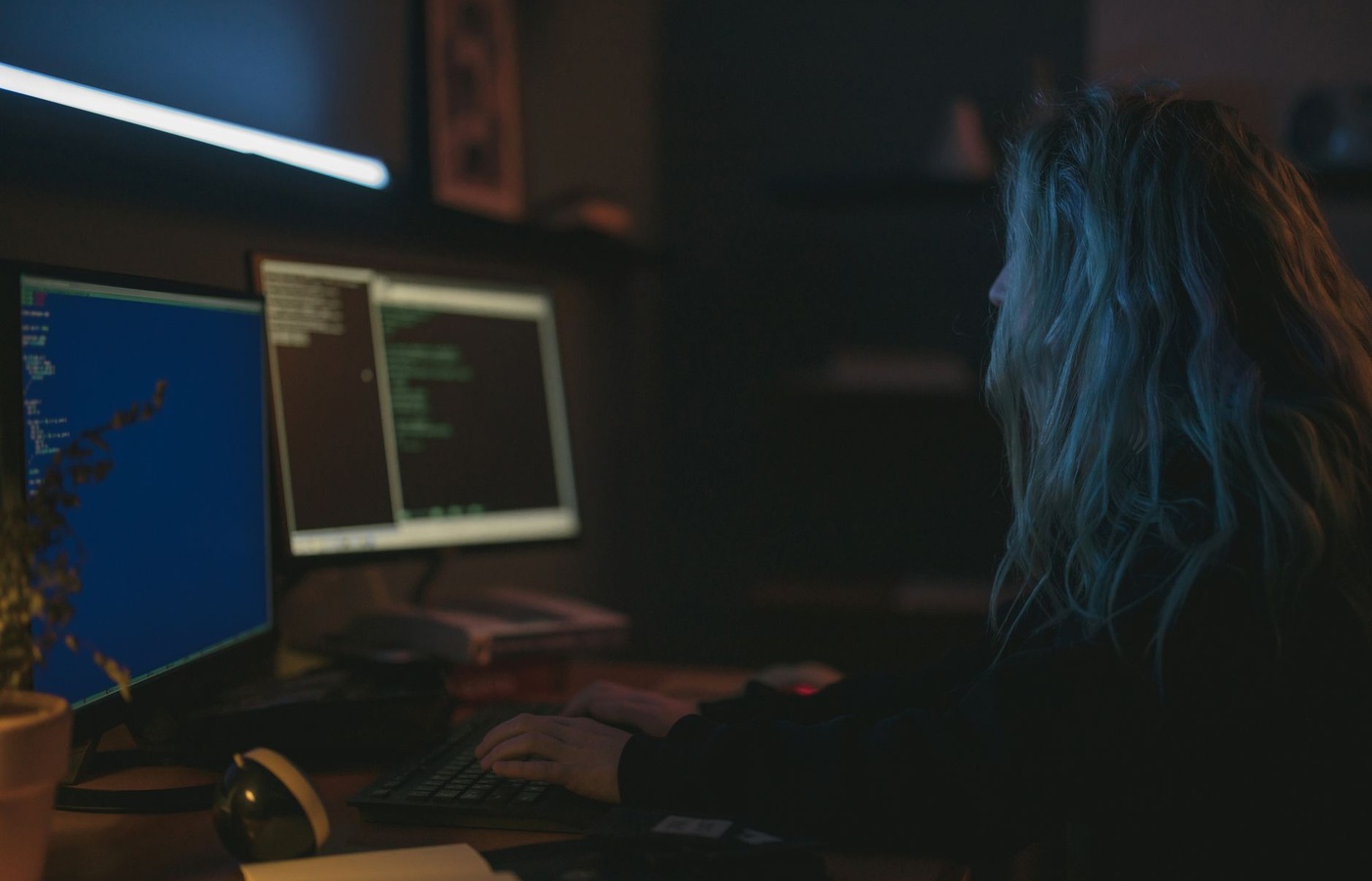 FedVTE Cybersecurity Analyst