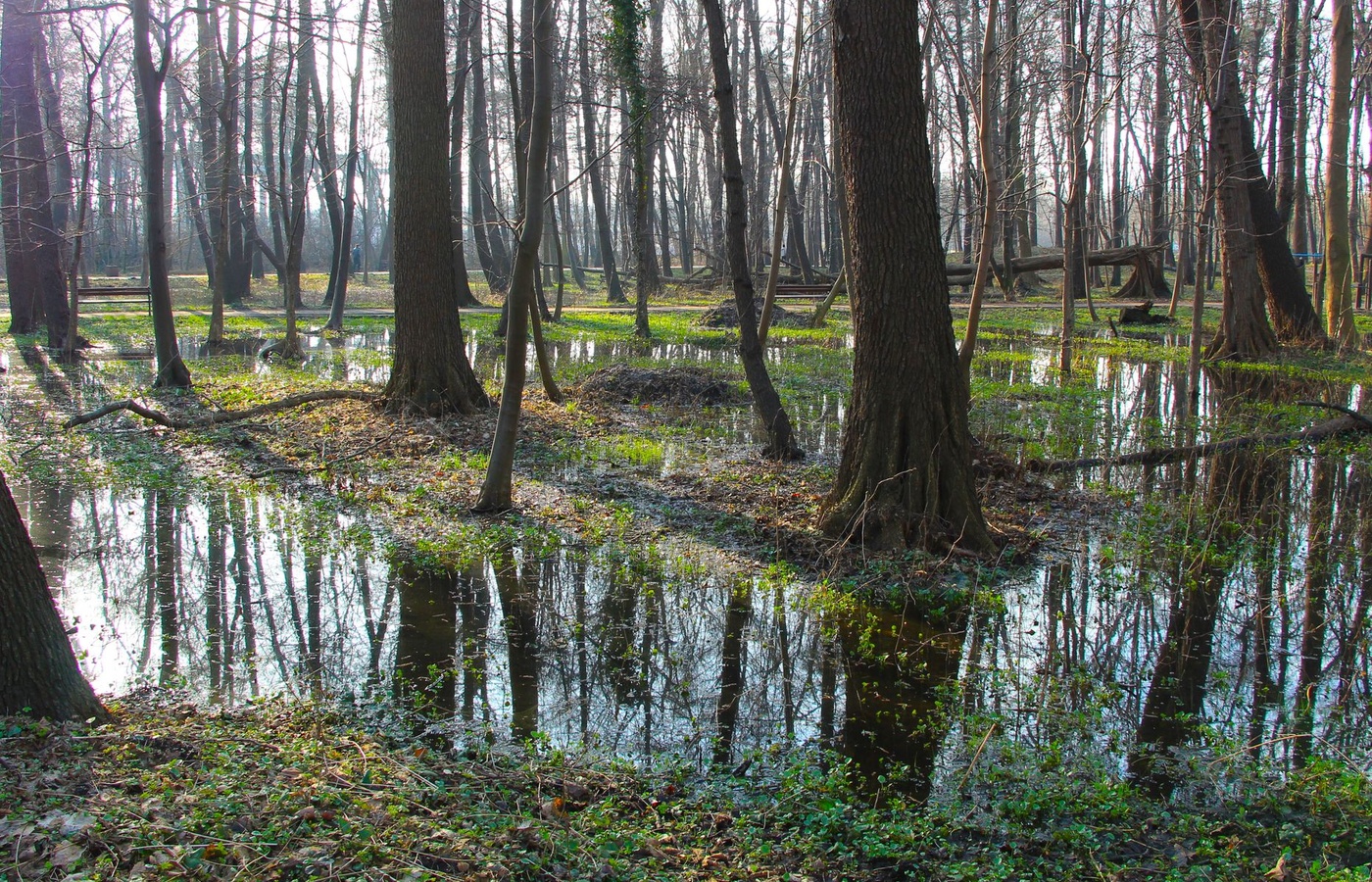 FEMA 480 NFIP Floodplain Management Requirements