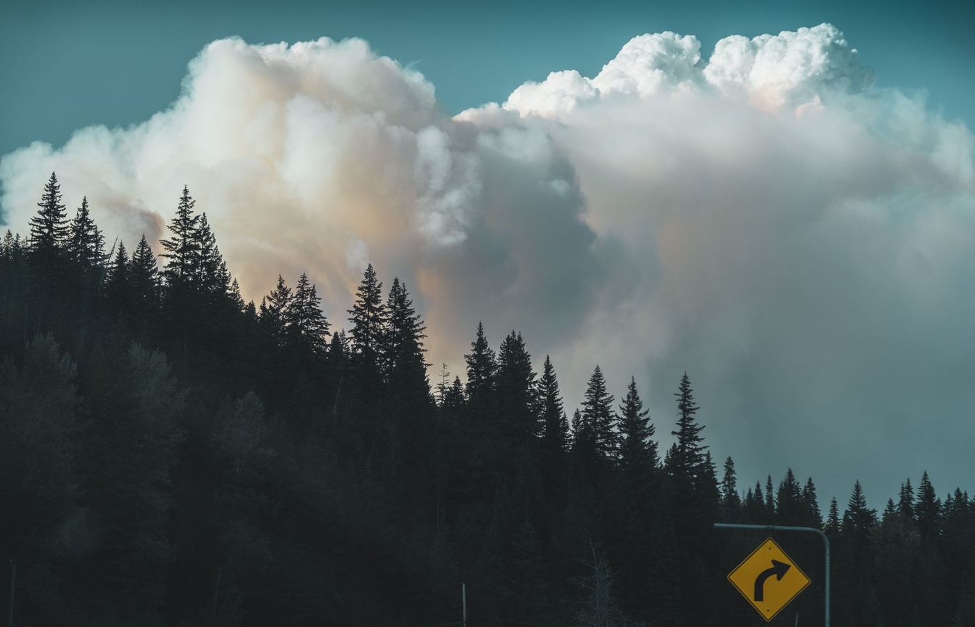 Firefighter Type 1 (FFT1) Wildland