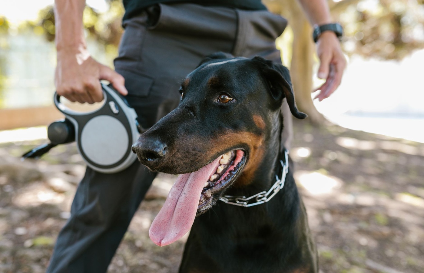 Florida Animal Control Officer Certification